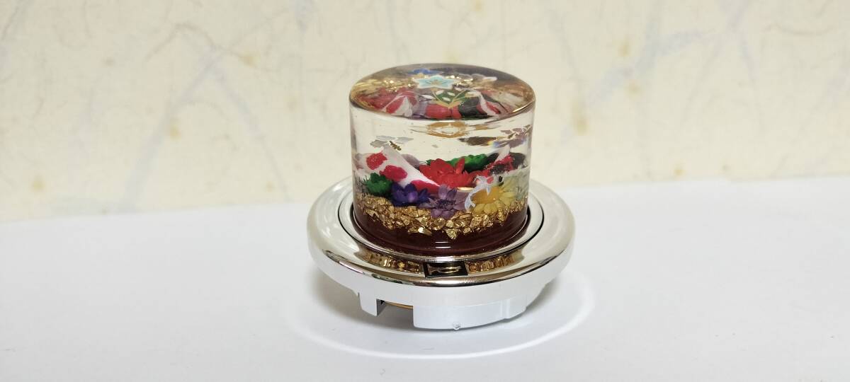 Underwater Koi / Star Horn Button